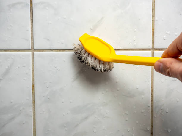 Best Same-Day Mold Removal  in East End, AR