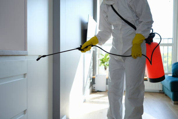 Best Attic Mold Removal  in East End, AR